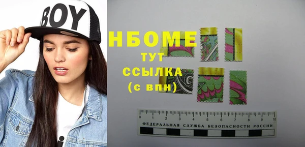 индика Алексин