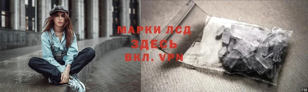 индика Алексин