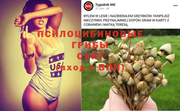 эйфоретик Абинск