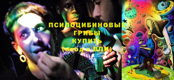 МДПВ Абаза
