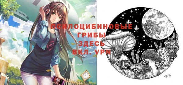 эйфоретик Абинск