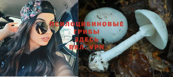 МДПВ Абаза