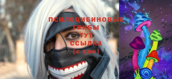 стафф Инта