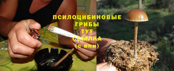 бошки Иннополис